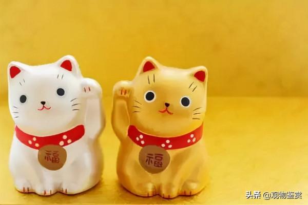 七個招財貓的名字？招財貓名字取名方法