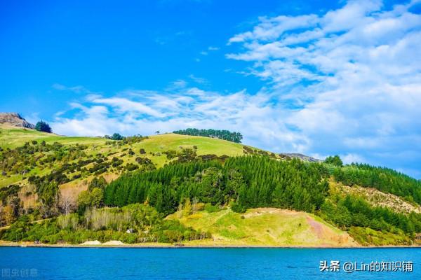 12個冷知識：雖然在生活中偶爾會出現，但是很少有人會注意