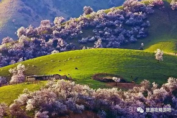 國內這9個值得一去的地方，有你要的詩和遠方，出發吧？