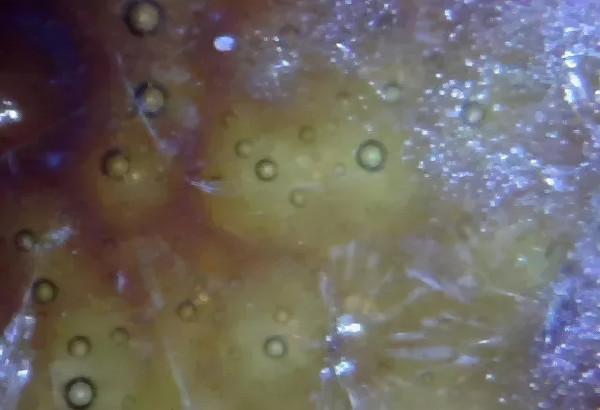 微觀古瓷器,到底看什麼呢? 微觀古瓷器,到底看什麼呢?