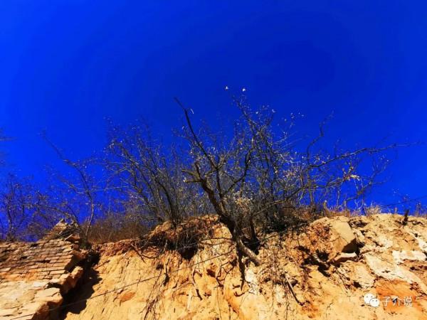 鄉愁 - 板裕村的黃昏