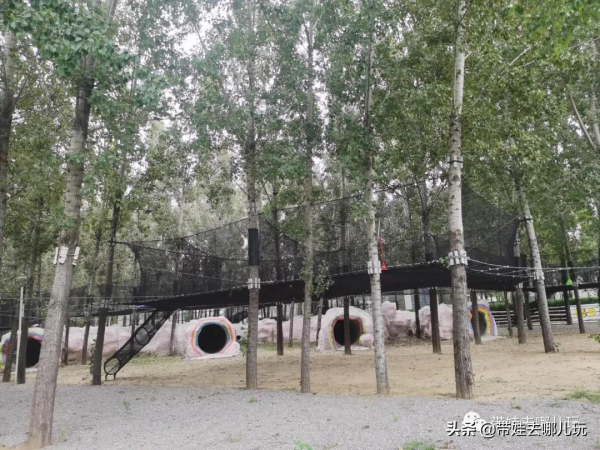 北京新開一家動物園,可以和老虎共進午餐 北京新開一家動物園,可以和老虎共進午餐