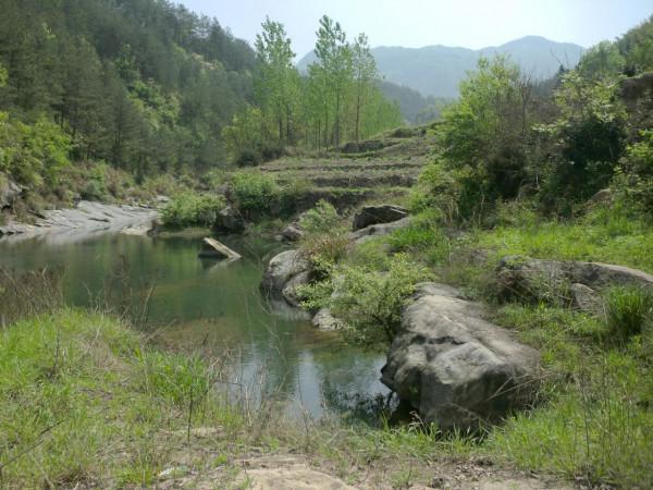 我在山區天然河流中釣到過這10種魚，這些魚中你釣到過幾種？