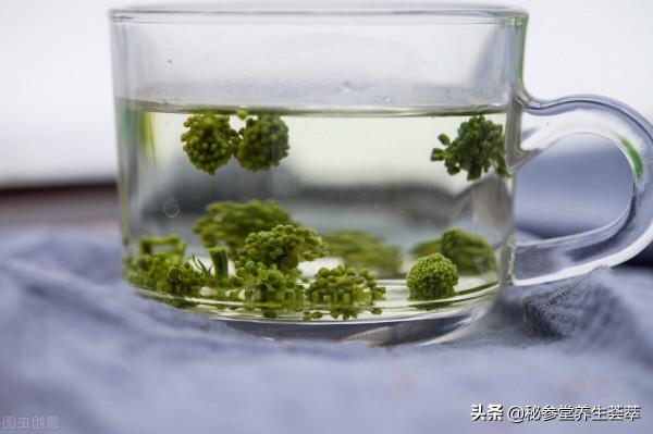 三七花泡水喝有什麼功效 三七花泡水喝有什麼功效