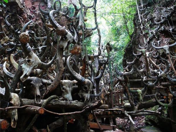 龍潭之畔的美麗精靈,省級旅遊名鎮“勐梭” 龍潭之畔的美麗精靈,省級旅遊名鎮“勐梭”