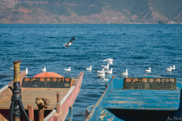 兩年以前，我們說走就能走，可以去任何想去的地方