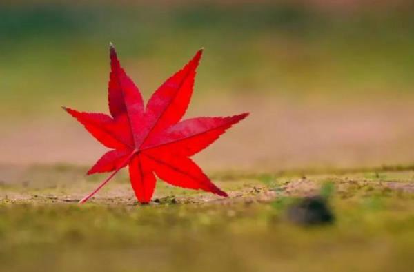 人到中年，遇到以下幾種人，要學會翻臉