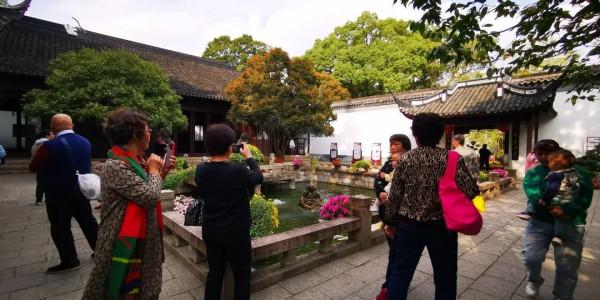 進入最佳觀賞期 進入最佳觀賞期