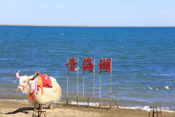 青海系列遊記:中國唯一以湖泊為名的省,青海湖到底有多迷人? 青海系列遊記:中國唯一以湖泊為名的省,青海湖到底有多迷人?