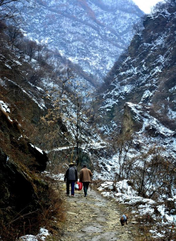 走進秦嶺山