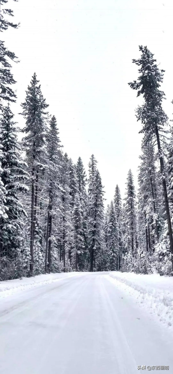 初冬｜100組詩句，帶你品讀冬日的美好