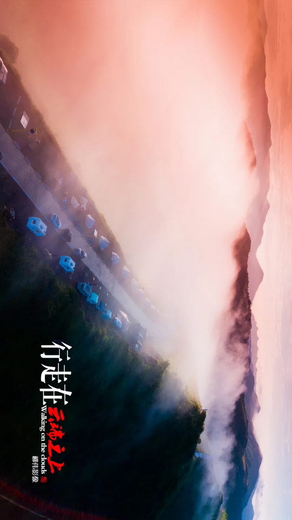 旋轉手機90° →哇！平利正陽雲端草甸這麼美嗎！