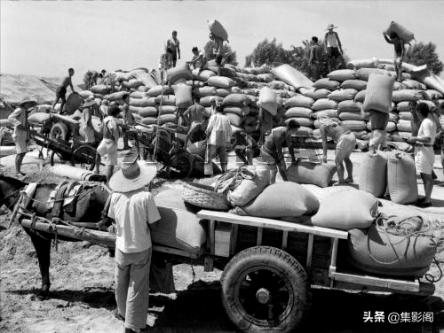 石家莊藁城縣五六十年代老照片