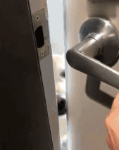 這絕對是你養狗最暖心的瞬間