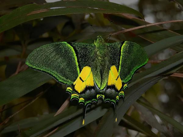 武夷山美的一萬種方式 武夷山美的一萬種方式