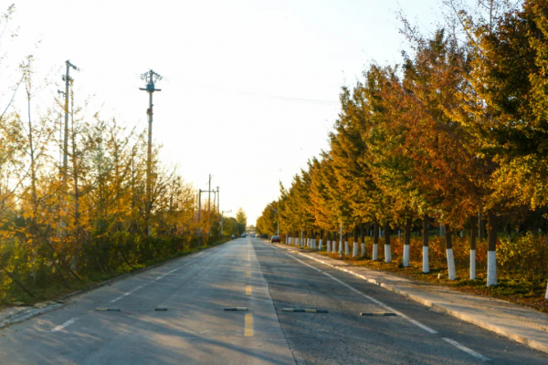 秋染副中心① | 漫步賞秋，張家灣公園內，秋色也能勝春朝！