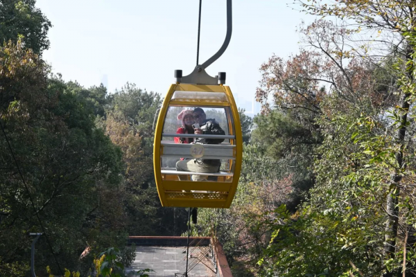 諾諾武漢站二週年小記——開二手夏朗遊東湖 諾諾武漢站二週年小記——開二手夏朗遊東湖