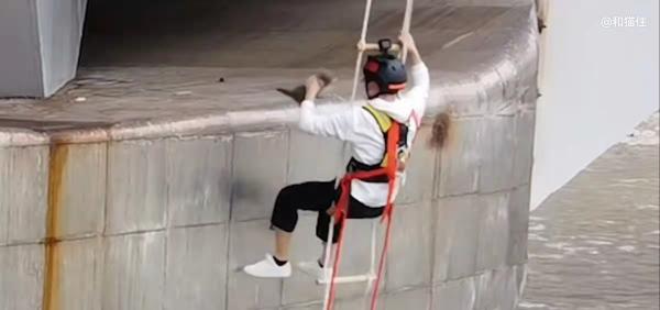 “90後”小夥辭職成為“貓咪消防員”,救了上千只貓,全網粉絲超千萬 “90後”小夥辭職成為“貓咪消防員”,救了上千只貓,全網粉絲超千萬