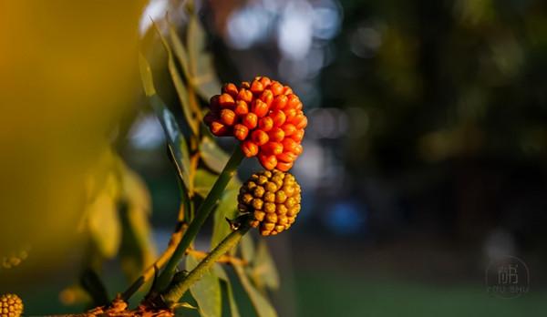 稻盛和夫：真正有本事的人，都懂得“借力”