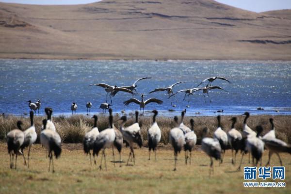 雲南已劃建自然保護地362處 約佔全省國土面積的14.32%