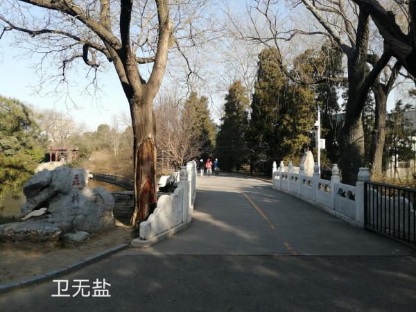 金代白石橋，重現動物園？