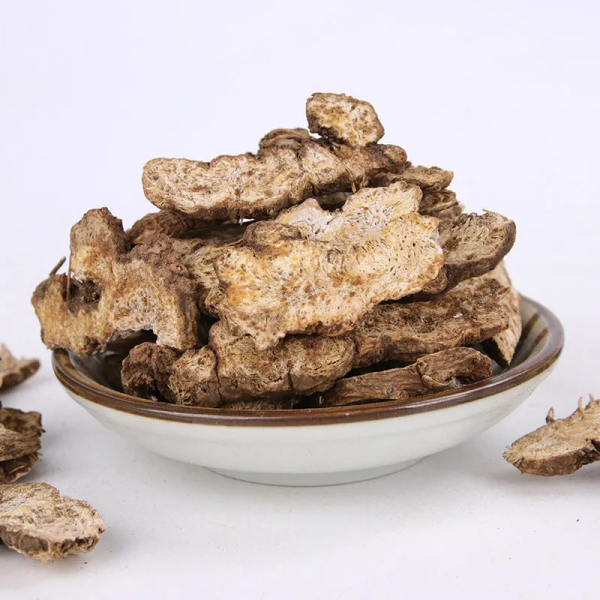 養生知藥 | 蒼朮