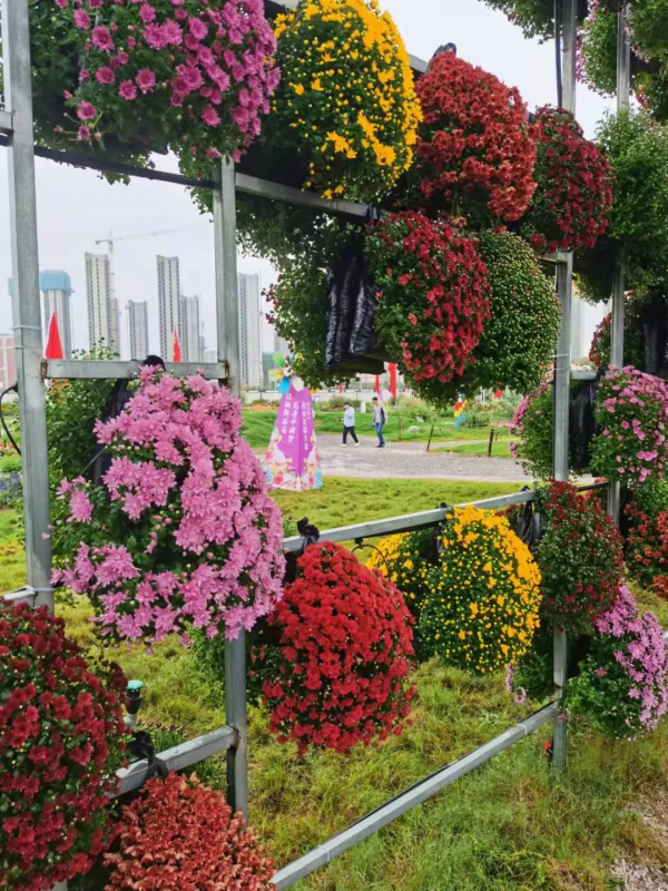 林業碳匯、文旅、養豬、元宇宙，園林上市公司哪個業務有“錢途”