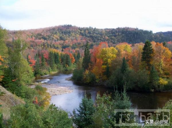 美國釣魚網sniper:我和飛蠅釣的緣分2 美國釣魚網sniper:我和飛蠅釣的緣分2