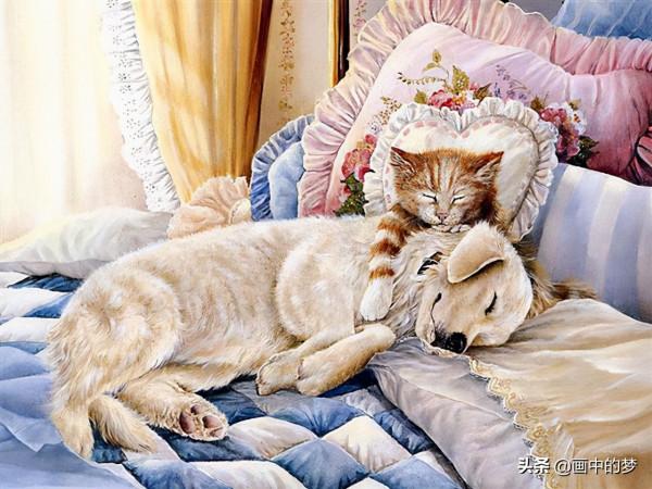 精緻活潑的貓貓,實在太可愛了 精緻活潑的貓貓,實在太可愛了