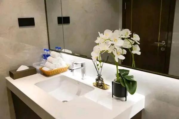 6種&OpenCurlyDoubleQuote;洋氣花&rdquo;，廁所裡養的旺，臭味吸光，衛生間變小花園