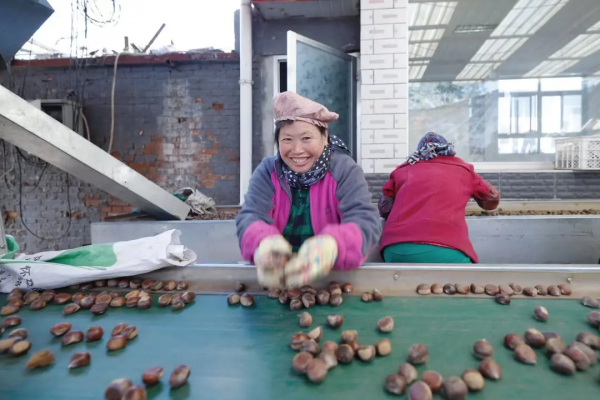 【玩轉懷柔】2021懷柔賞秋攻略出爐！一個字，絕！