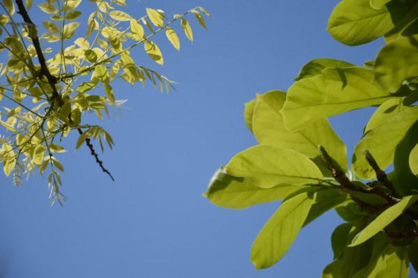 我們的目標哪去了? 我們的目標哪去了?