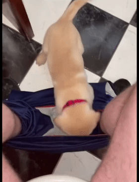 我養的不是狗,是隻502膠水 我養的不是狗,是隻502膠水