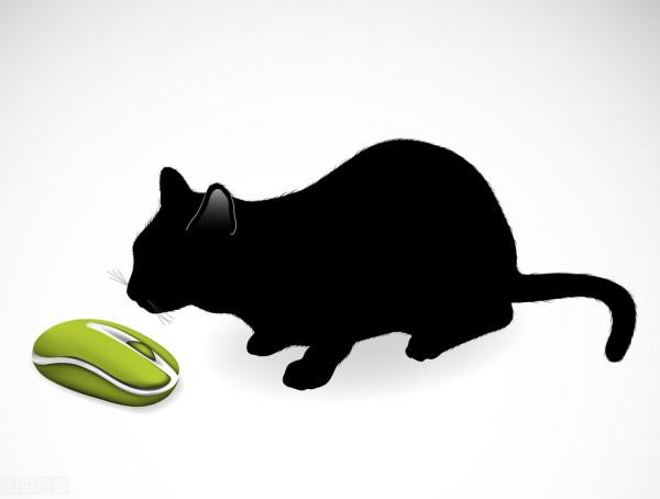 抓住老鼠的,都是好貓嗎? 抓住老鼠的,都是好貓嗎?