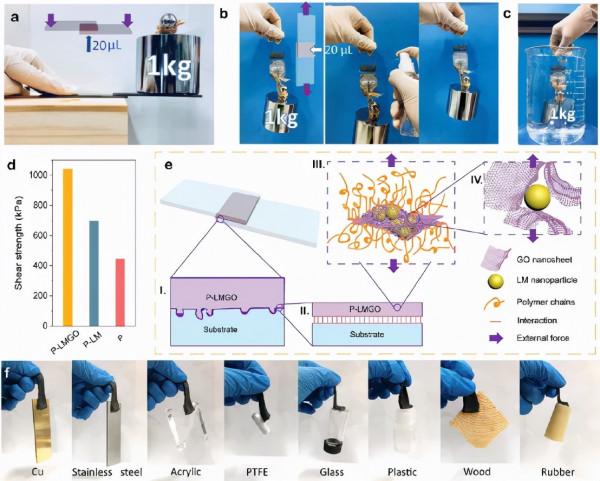 《AFM》華南理工鍾林新:氧化石墨烯封裝液態金屬以增韌水凝膠 《AFM》華南理工鍾林新:氧化石墨烯封裝液態金屬以增韌水凝膠