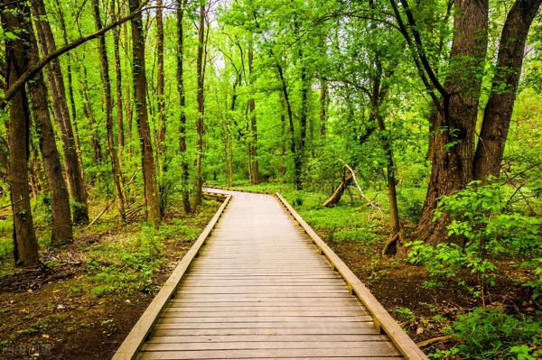 50句十字文藝短句