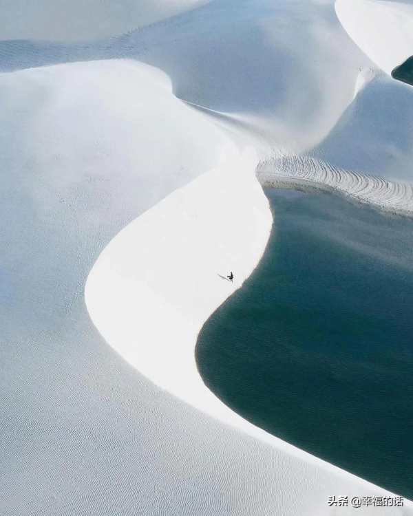 蜿蜒曲折，誰之精彩？