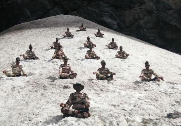 高原條件惡劣，駐軍肌肉易損傷，印國防研究人員開始打植物的主意