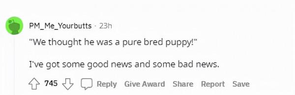 秘魯女子的寵物&quot;狗&quot;總獵殺鄰居家雞鴨，長大一看，這不是狐狸嗎？