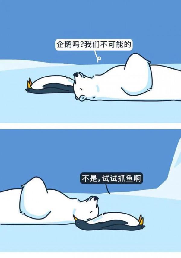 漫畫:努力的人,一般都很狼狽 漫畫:努力的人,一般都很狼狽