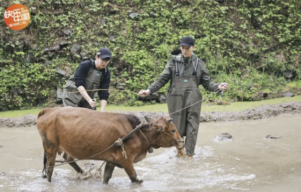 嚮往的生活6原班人馬再集結,這次實現海島夢,網友喊話男人幫 嚮往的生活6原班人馬再集結,這次實現海島夢,網友喊話男人幫