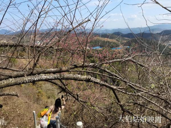 這是我長大的地方，一個座落在山頂上的小山村
