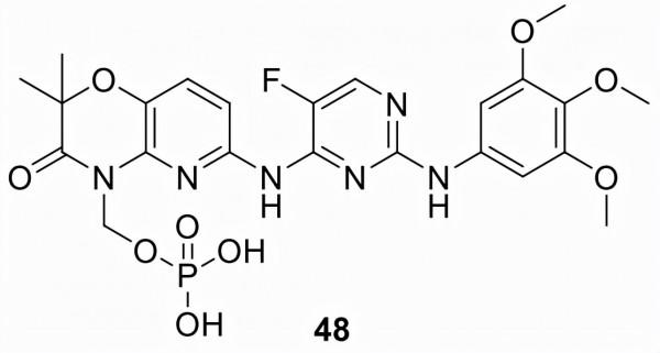 藥物發現&boxv;FDA批准的小分子激酶抑制劑&lpar;1995&minus;2021&rpar;