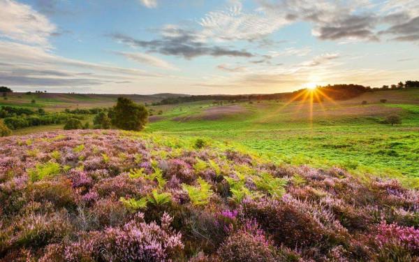 毛選：思想比技術更重要，只有正確的思想，才能駕馭先進的技術