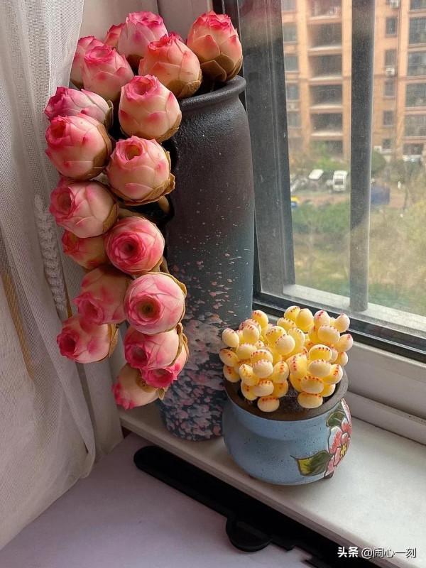 分享&mdash;&mdash;玫瑰多肉