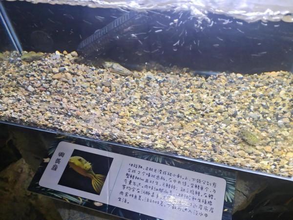 內蒙古科技館一日遊