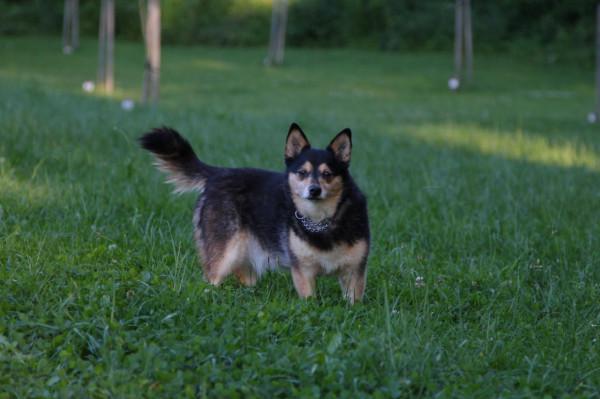 帶你走進匈牙利的古城維斯普雷姆(Veszprem) 帶你走進匈牙利的古城維斯普雷姆(Veszprem)