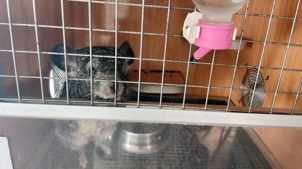 小朋友的天地動物的樂園—水榭萍鄉親子莊園