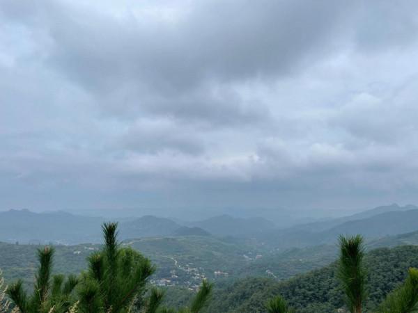 南山區的小景色