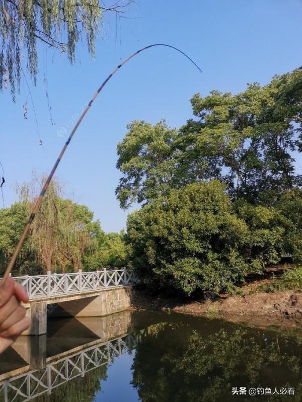 那個釣蝦仔又來了，順便開光新做的小物竿